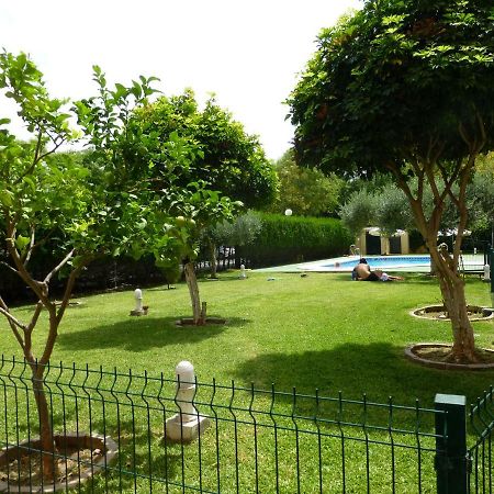 Milenium Palace - Garaje Incluido - Piscina-Fibes Севиля Екстериор снимка